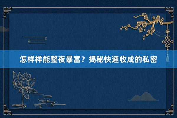 怎样样能整夜暴富？揭秘快速收成的私密